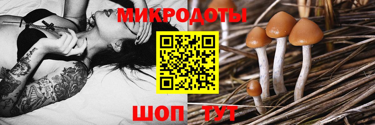 Галлюциногенные грибы Magic Shrooms Семилуки
